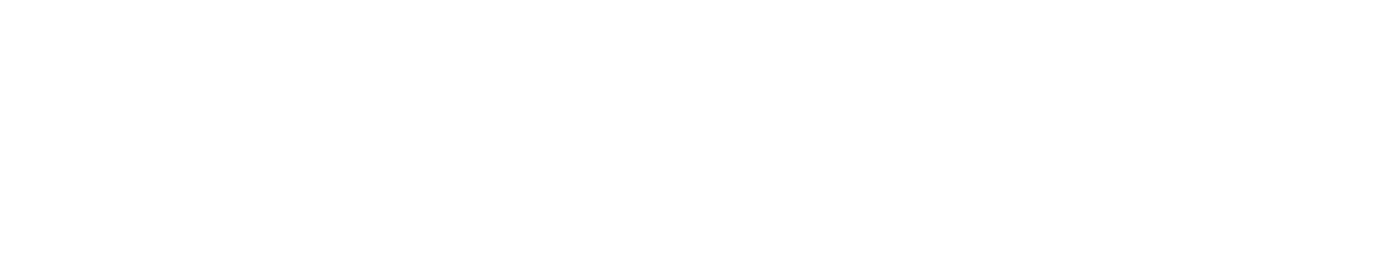 RAGNAR SIM